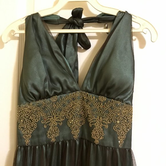 Adrianna Papell | Beaded Gold Green Tulle Dress - Picture 3 of 13